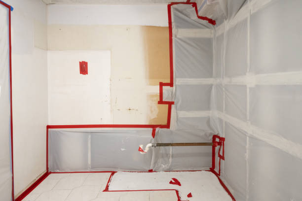 Best Environmental Consulting for Mold Prevention  in Holstein, IA