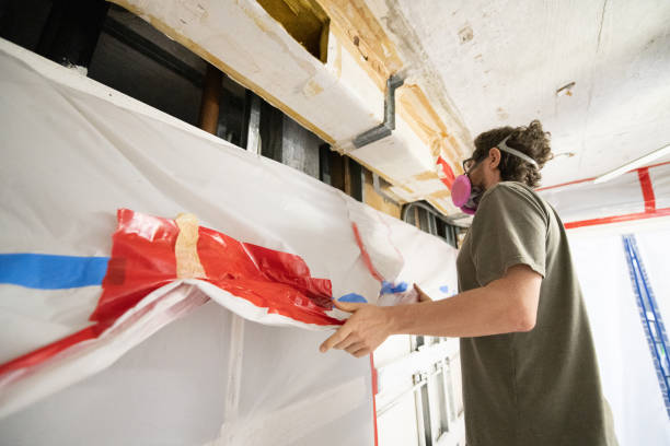 Holstein, IA Mold Removal Company