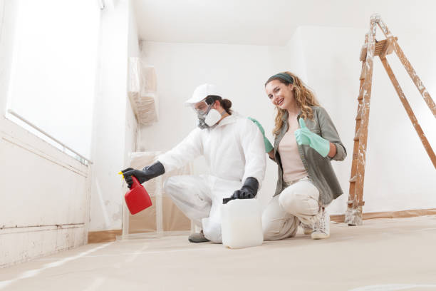Best Mold Remediation for Healthcare Facilities  in Holstein, IA
